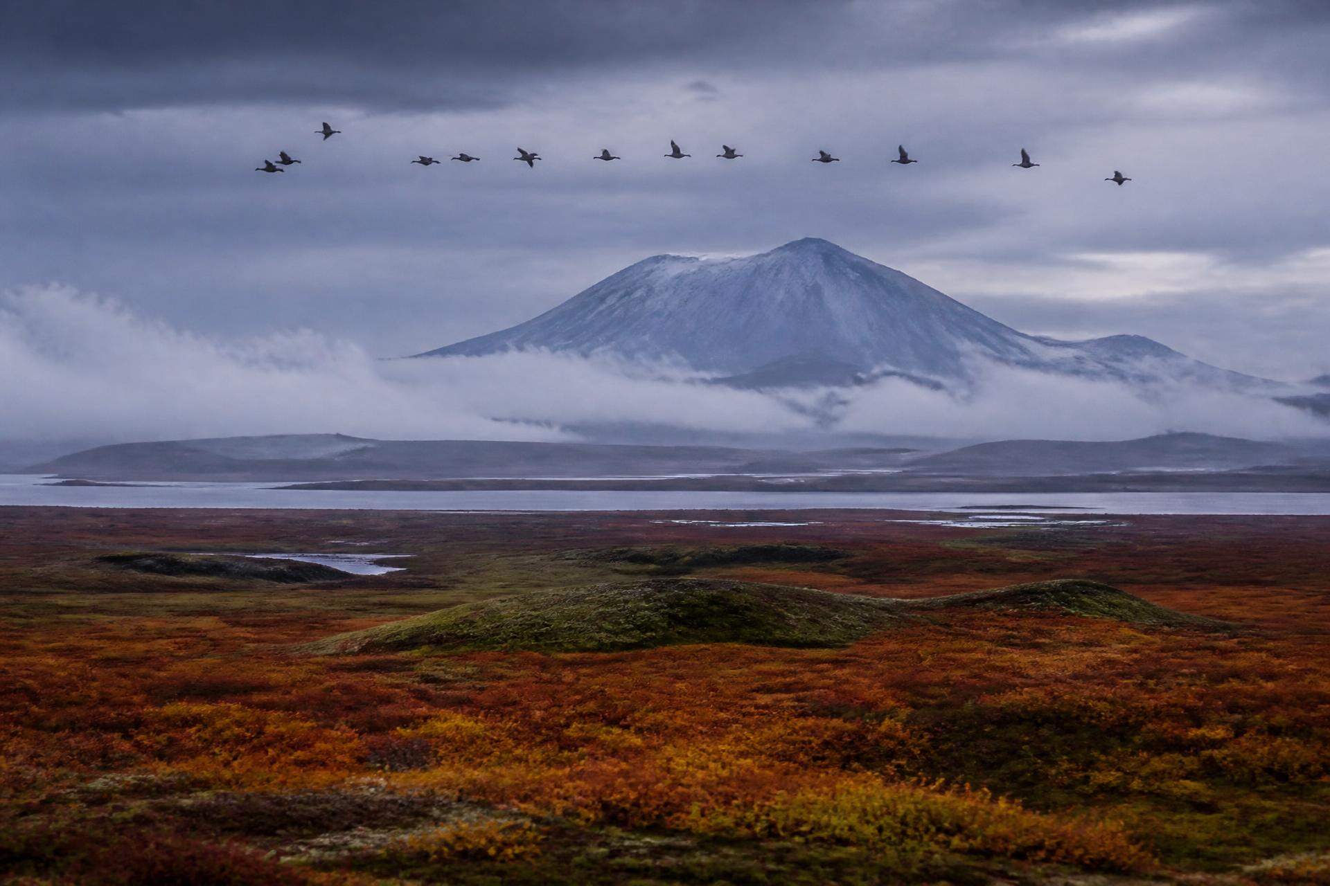 The tundra, Izembek Lagoon and Mt. Frosty near Cold Bay, Alaska